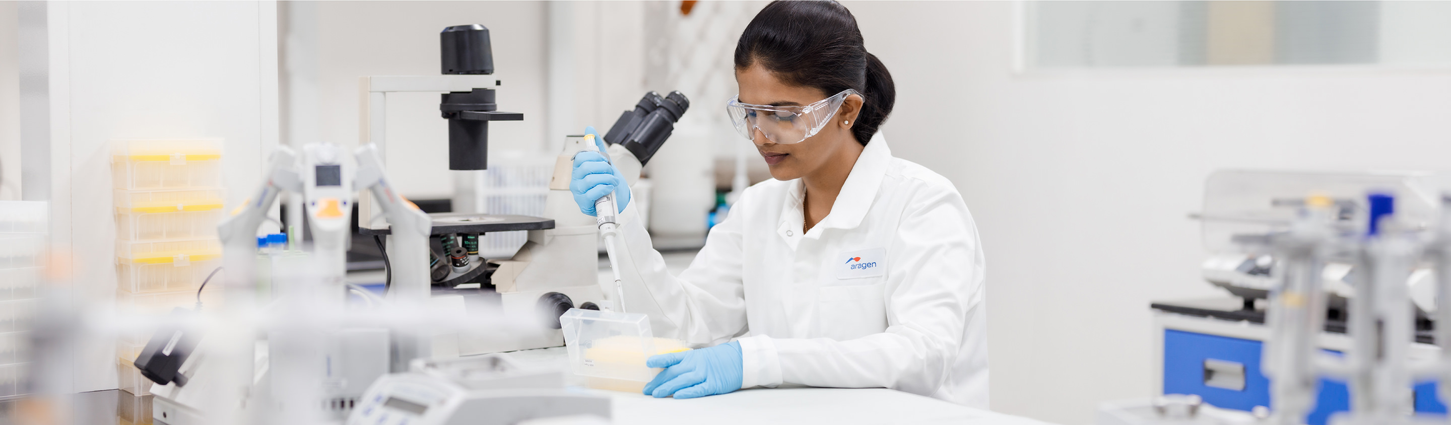 Small Molecule API